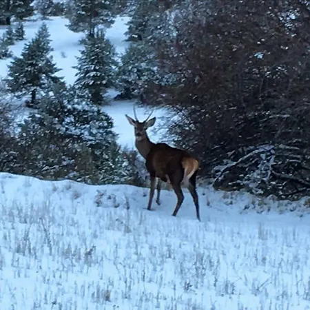 Restaurante San Millan 3*