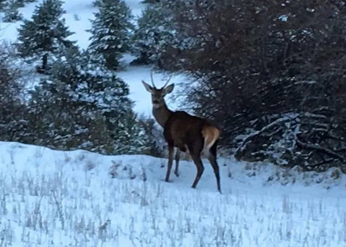 Restaurante San Millan 3*